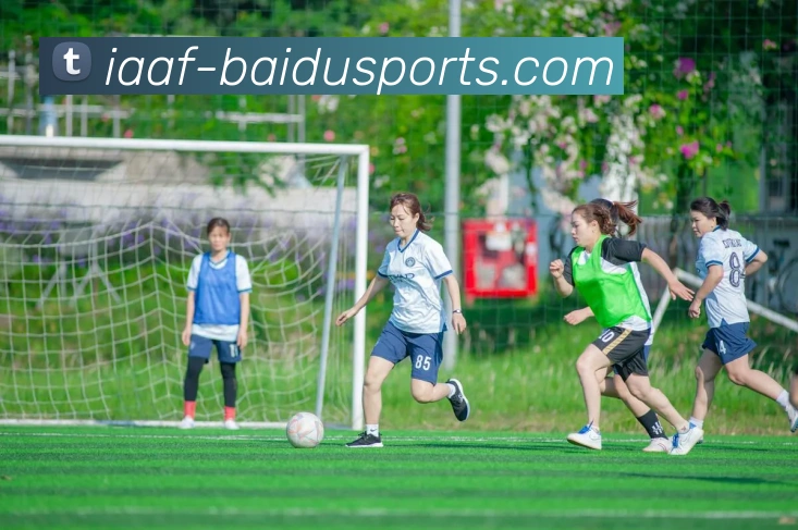 百度体育APP 封面图